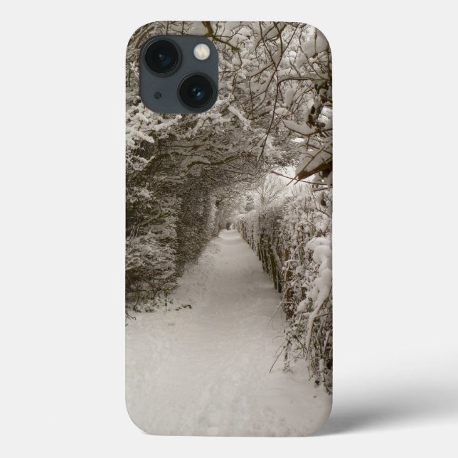 Snowy Path iPad Air Hüllen (Rückseite)