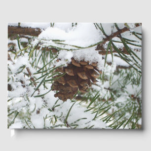 Snowy Pine Cone I Winter Nature Fotografy Gästebuch