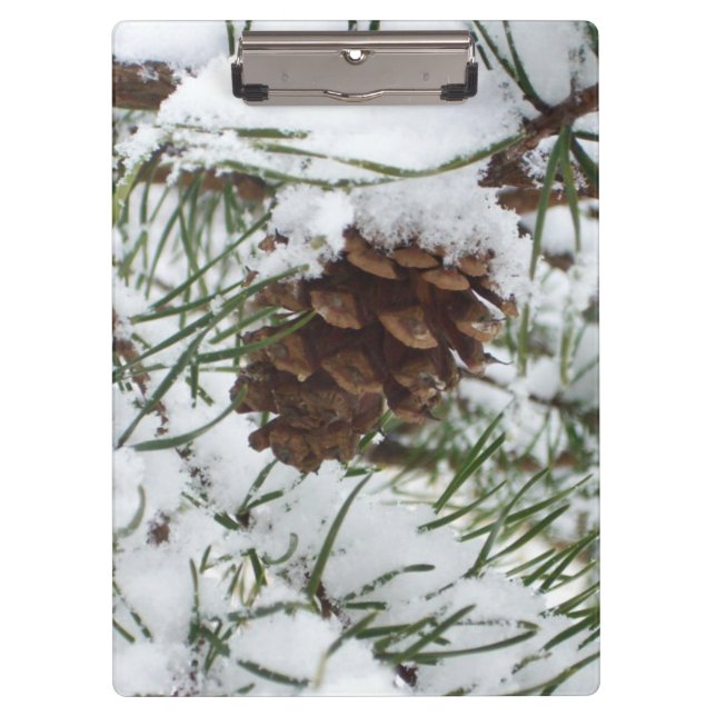 Snowy Pine Cone I Winter Nature Fotografy Klemmbrett (Vorderseite)