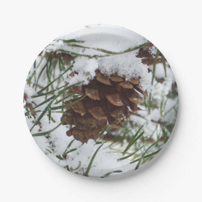 Snowy Pine Cone I Winter Nature Fotografy Pappteller (Vorderseite)