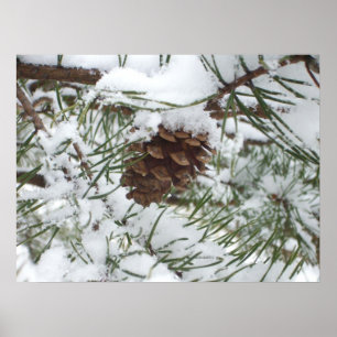 Snowy Pine Cone I Winter Nature Fotografy Poster