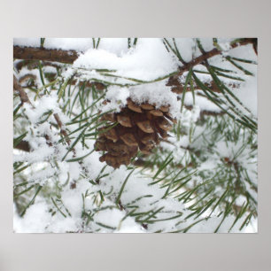 Snowy Pine Cone I Winter Nature Fotografy Poster