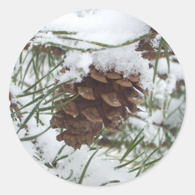 Snowy Pine Cone I Winter Nature Fotografy Runder Aufkleber (Vorderseite)