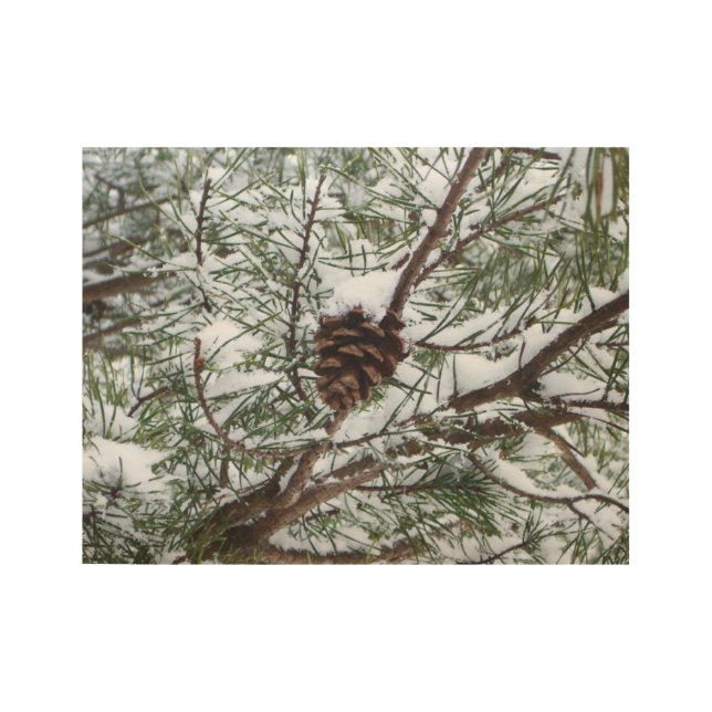 Snowy Pine Cone II Winterlandfotografie Holzposter (Vorderseite)