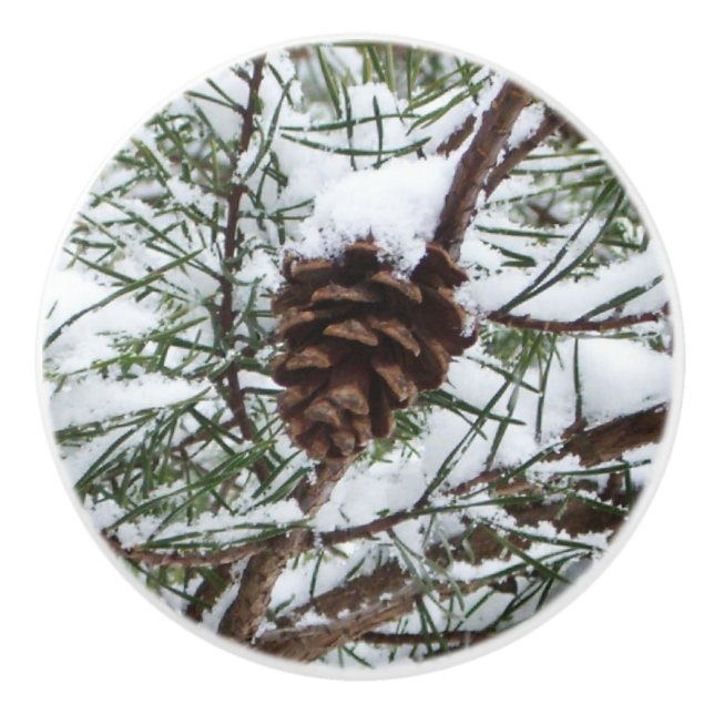 Snowy Pine Cone II Winterlandfotografie Keramikknauf (Vorderseite)