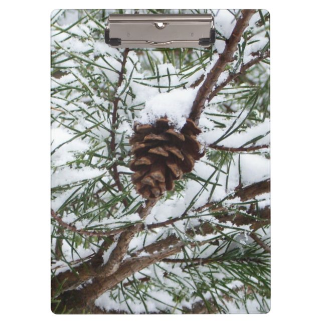 Snowy Pine Cone II Winterlandfotografie Klemmbrett (Vorderseite)
