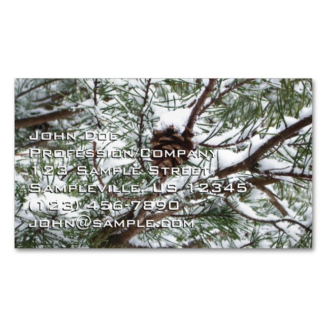 Snowy Pine Cone II Winterlandfotografie Magnetische Visitenkarte (Vorderseite)