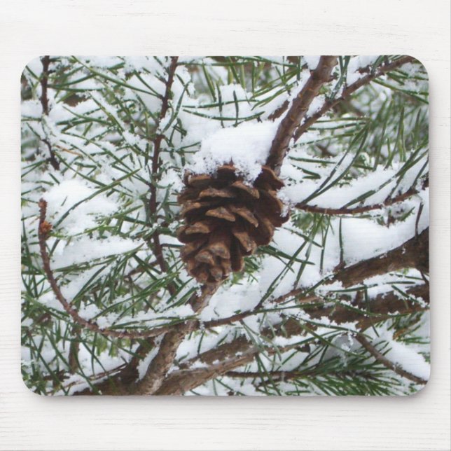 Snowy Pine Cone II Winterlandfotografie Mousepad (Vorne)