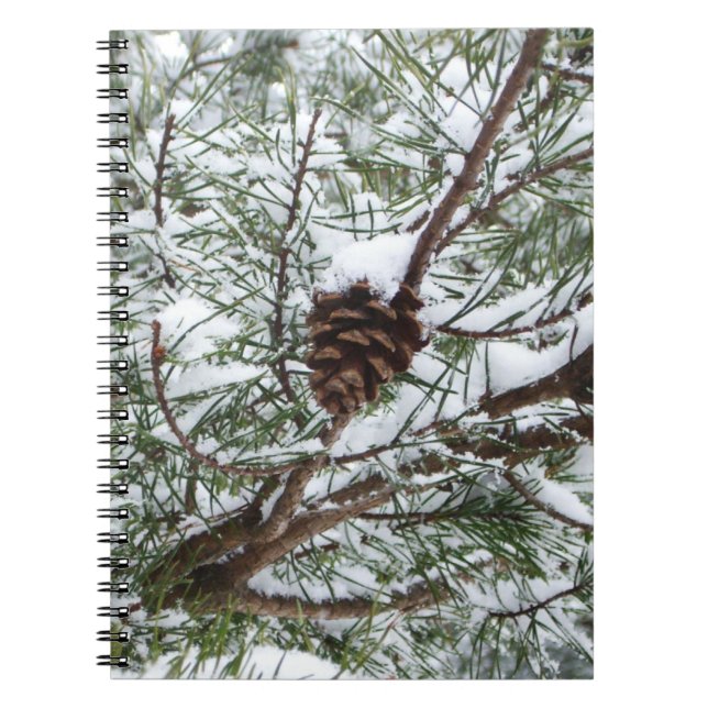 Snowy Pine Cone II Winterlandfotografie Notizblock (Vorderseite)