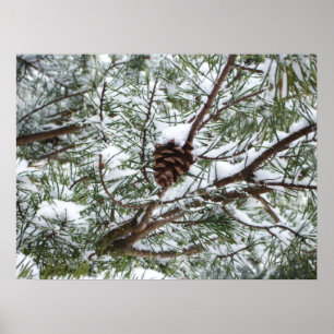 Snowy Pine Cone II Winterlandfotografie Poster