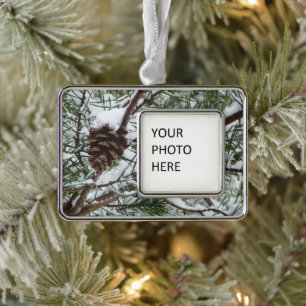 Snowy Pine Cone II Winterlandfotografie Rahmen-Ornament Silber
