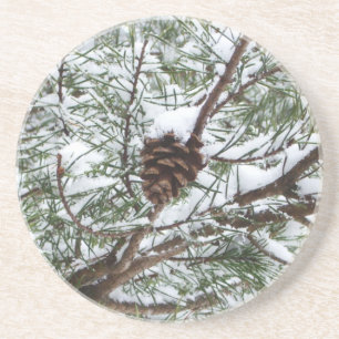 Snowy Pine Cone II Winterlandfotografie Sandstein Untersetzer