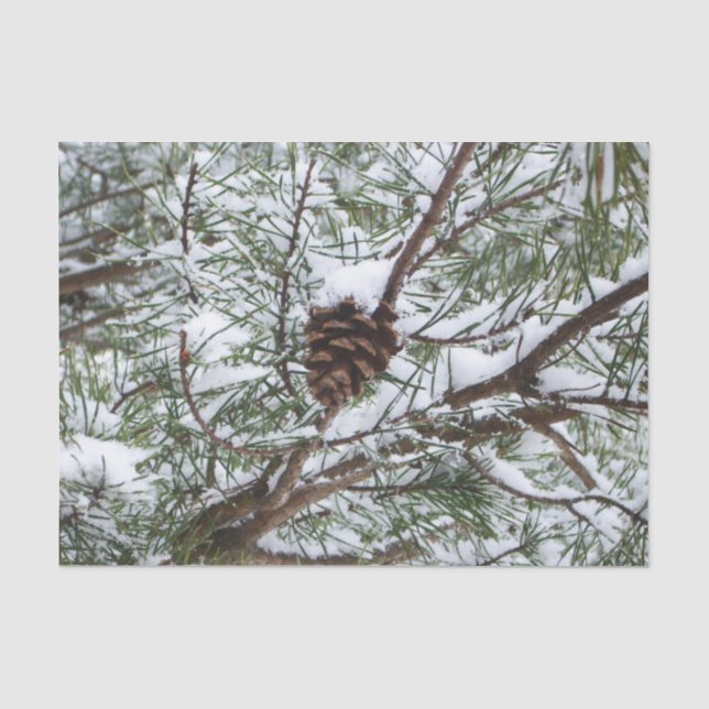 Snowy Pine Cone II Winterlandfotografie Seidenpapier (Vorderseite)