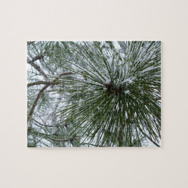 Snowy Pine Needles Winter Nature Fotografy (Horizontal)