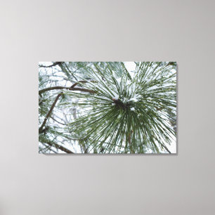 Snowy Pine Needles Winter Nature Fotografy Leinwanddruck