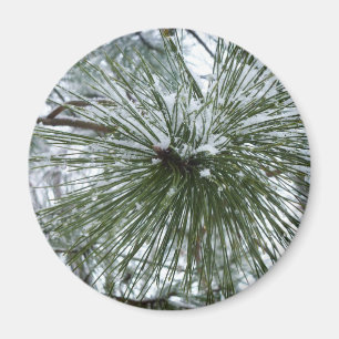Snowy Pine Needles Winter Nature Fotografy Magnet