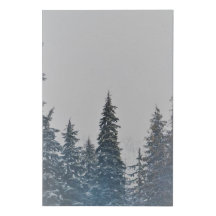 Snowy Pine Trees