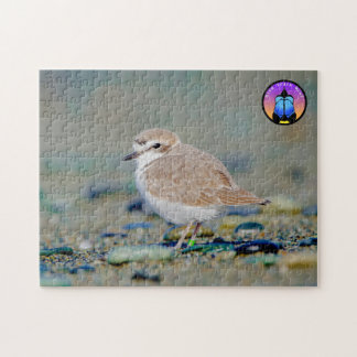 Snowy Plover Jigsaw Puzzle