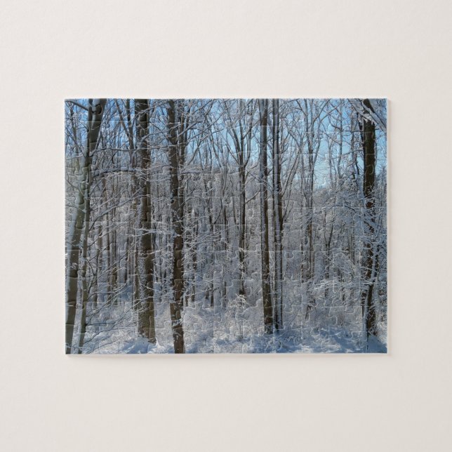 Snowy Poplar Forest I (Horizontal)