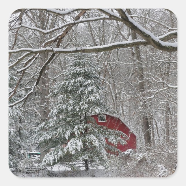 Snowy Red Barn Quadratischer Aufkleber (Vorderseite)