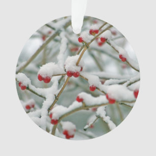 Snowy Red Berries scène d'hiver