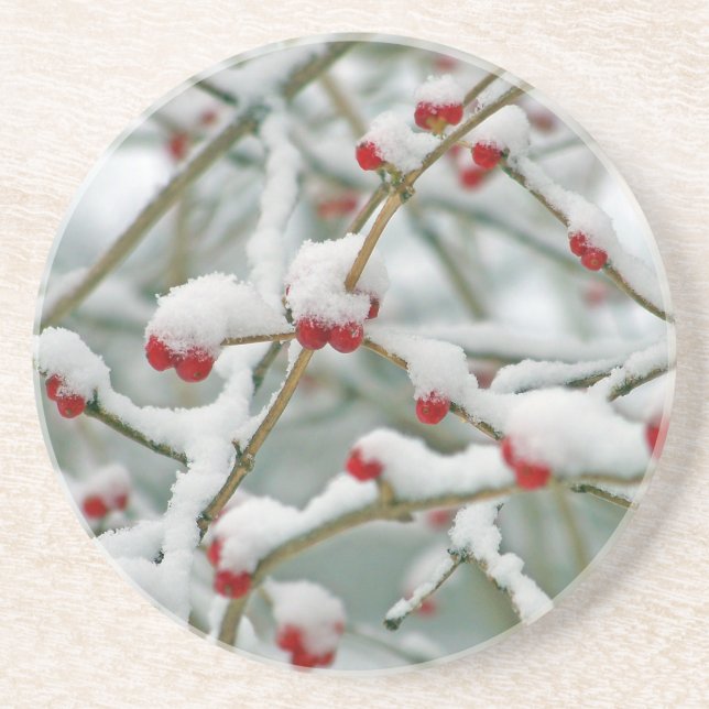 Snowy Red Berries Winter Scene Dessous de verre de (Devant)