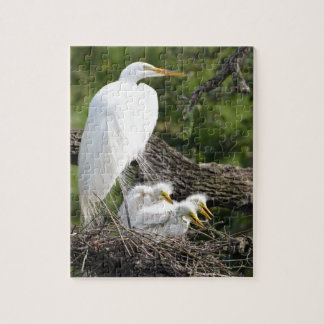 Snowy-Reiher-Familie