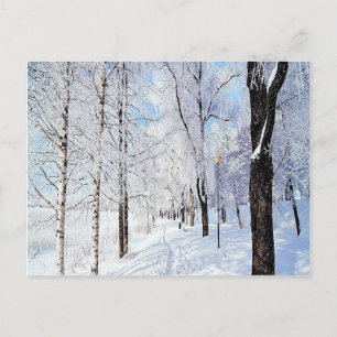 Snowy Road Postkarte