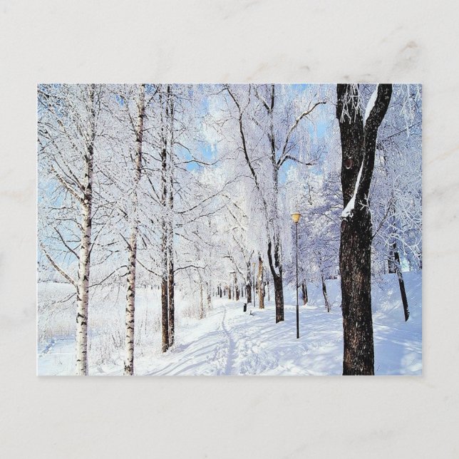 Snowy Road Postkarte (Vorderseite)