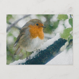 Snowy Robin Postcard Postkarte