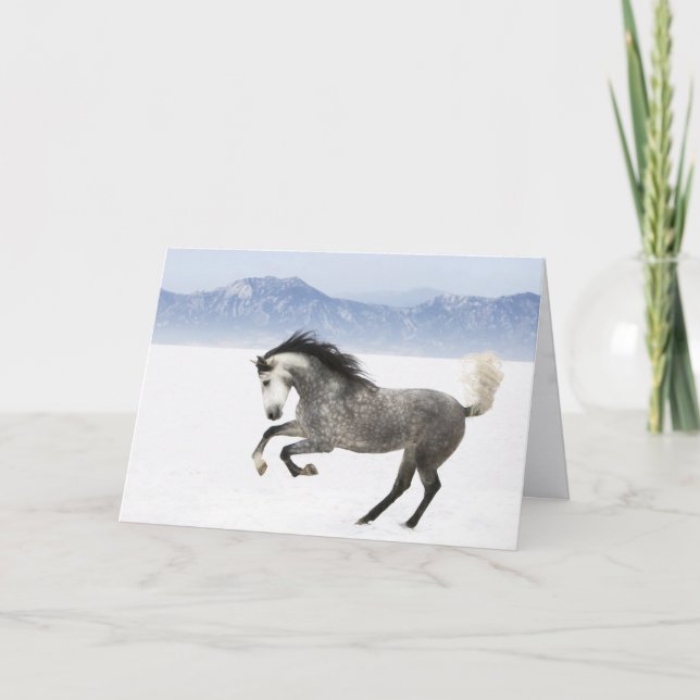 Snowy Romp Horse Grußkarte Karte (Vorderseite)