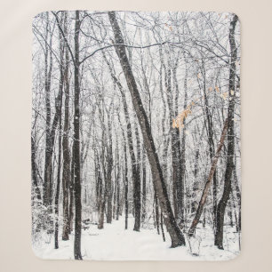 Snowy Scene in Woodland Michigan Sherpadecke