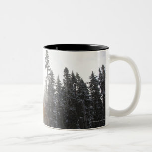 Snowy-Schotterweg, der in die Sonne einsteigt Zweifarbige Tasse