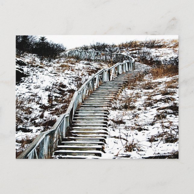 Snowy Staircase Postcard Postkarte (Vorderseite)