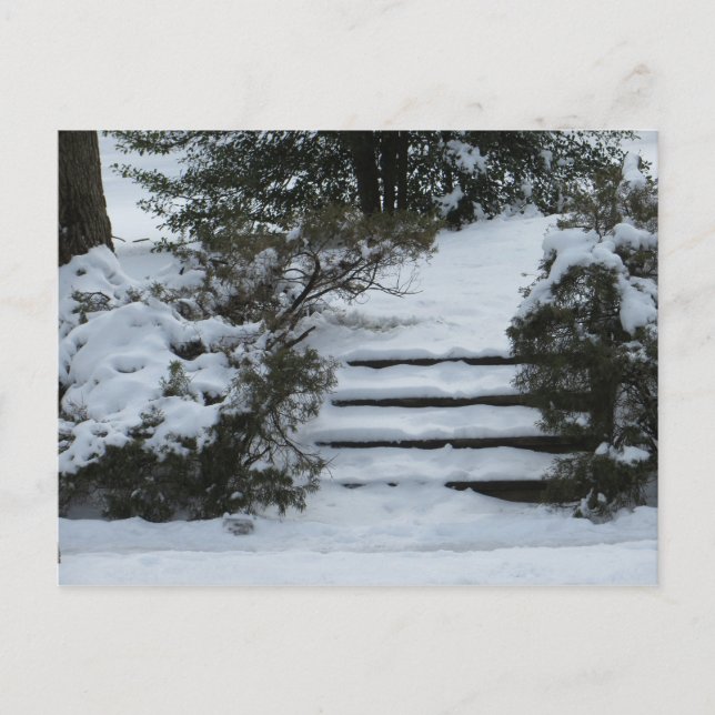 Snowy Steps Postkarte (Vorderseite)