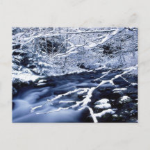 Snowy Stream -