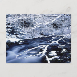 Snowy Stream - Postkarte