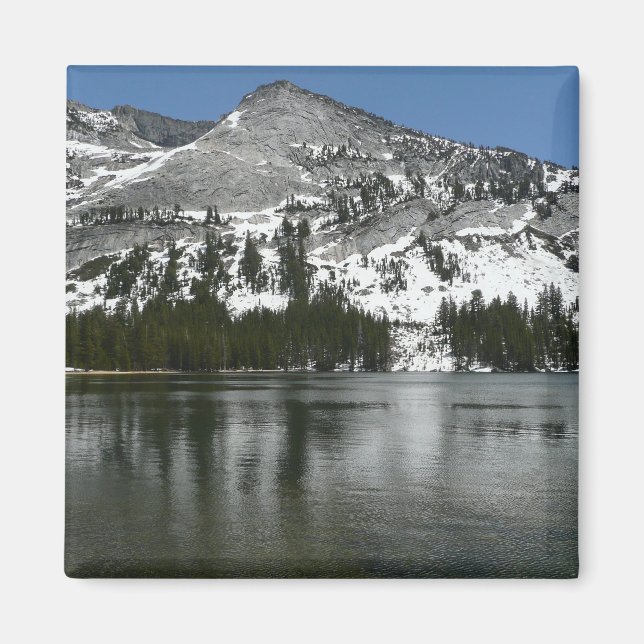 Snowy Tenaya Lake Yosemite National Park Foto Magnet (Vorne)