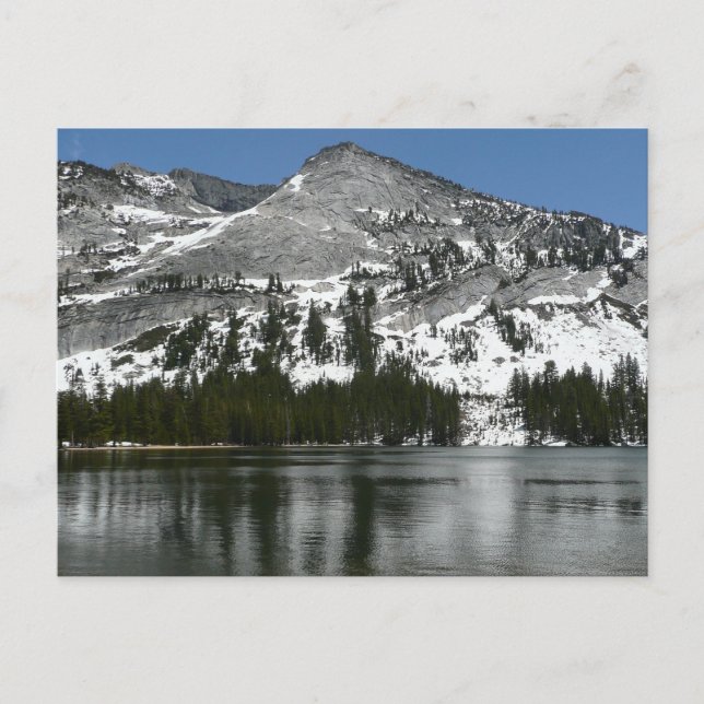 Snowy Tenaya Lake Yosemite National Park Foto Postkarte (Vorderseite)