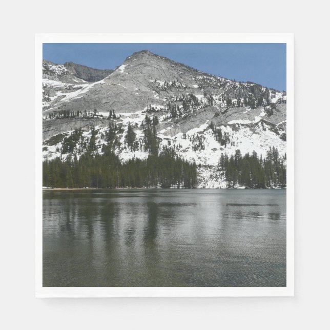 Snowy Tenaya Lake Yosemite National Park Foto Serviette (Vorderseite)