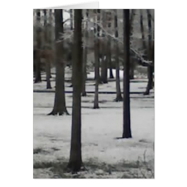 Snowy Trees (Vorne)