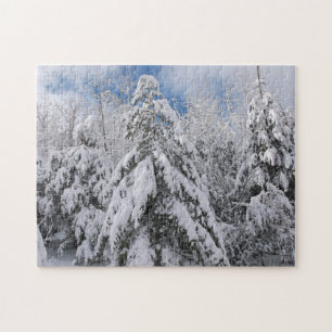 Snowy Trees