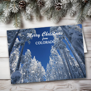 Snowy Trees aus Colorado Weihnachtskarte