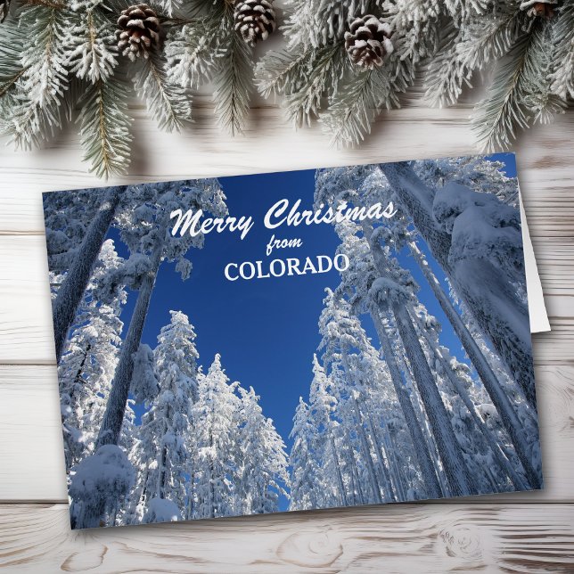 Snowy Trees aus Colorado Weihnachtskarte (Von Creator hochgeladen)