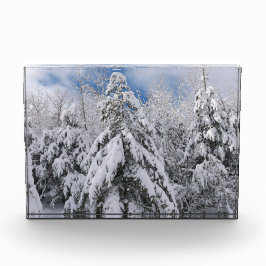 Snowy Trees Fotoblock