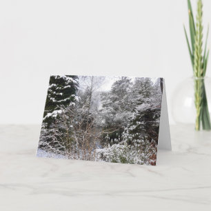 Snowy Trees Karte