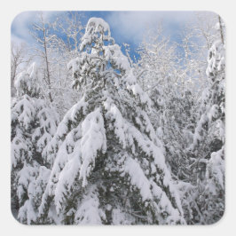 Snowy Trees Quadratischer Aufkleber