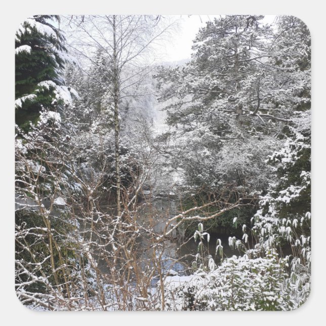 Snowy Trees Quadratischer Aufkleber (Vorderseite)