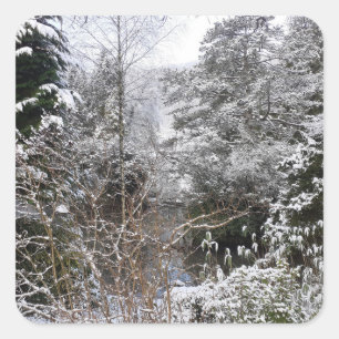 Snowy Trees Quadratischer Aufkleber