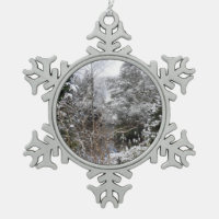 Snowy Trees